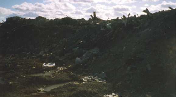 Closeup of dump